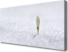 Zdjęcie na płótnie Kaskada nad Błękitną Zatoką