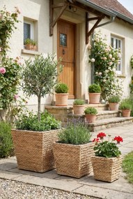 Komplet 3 donic z hiacyntu wodnego D0-R08