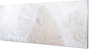 Szklany Panel Dmuchawiec i Rosa w Abstrakcji