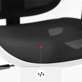 Fotel ergonomiczny Diablo V-Basic, biało-czarny