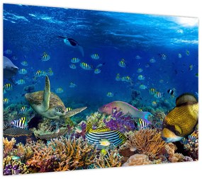 Obraz - Ocean (70x50 cm)