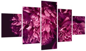 Obraz - Kwiaty piwonii (125x70 cm)