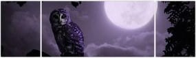 Obraz - Nocna sowa, fioletowy (170x50 cm)