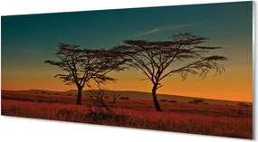 Panel szklany do Kuchni Korony Drzew pod Niebem