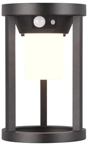 Lampa zewnętrzna LED z czujnikiem ruchu (wysokość 21 cm) Carmo – Trio