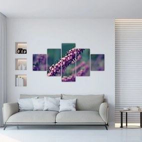 Obraz fioletowego kwiatu (125x70 cm)