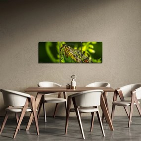 Obraz owada (z zegarem) (90x30 cm)