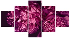 Obraz - Kwiaty piwonii (125x70 cm)