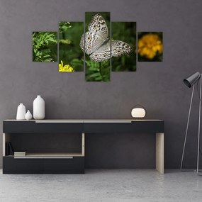 Obraz - biały motyl (125x70 cm)