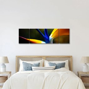 Obraz - Egzotyczny kwiat (170x50 cm)