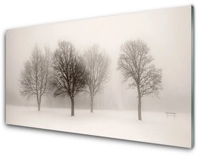 Obraz Akrylowy Śnieg Drzewa Krajobraz