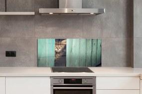 Panel Szklany Ciekawskie Spojrzenie Kota