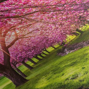 Obraz kwitnących czereśni, Hurd Park, Dover, New Jersey (z zegarem) (90x30 cm)