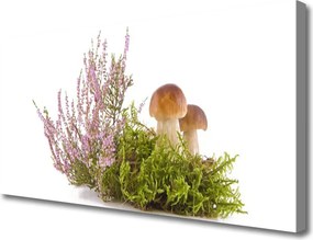 Obraz drukowany na płótnie Skarby Leśnego Poszycia