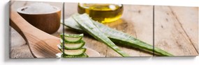 Obraz - Aloes (170x50 cm)