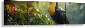 Obraz - Tukan (170x50 cm)