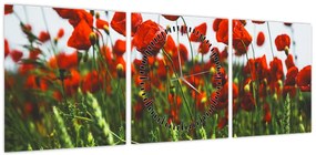 Obraz maków na wietrze (z zegarem) (90x30 cm)