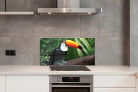 Panel szklany do Kuchni Tukan: Symbol Tropików