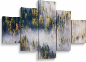Obraz drzew we mgle (125x70 cm)