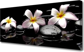 Zdjęcie na płótnie Kwiat na Gładkich Kamieniach