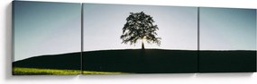 Obraz natury - drzewo (170x50 cm)