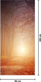 Fototapeta na drzwi - Jesienny las we mgle (95x205cm)