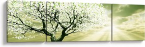 Obraz drzewa na łące (170x50 cm)