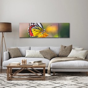Obraz motyla na kwiatku (170x50 cm)