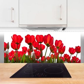 Panel nad blat kuchenny Pastelowy Ogród Na Szkle