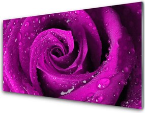 Panel Szklany do Kuchni Aksamitna Róża W Deszczu