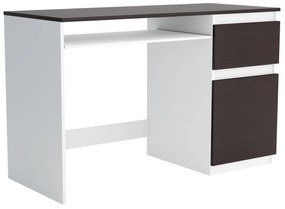 Biurko komputerowe młodzieżowe szkolne 120 cm REMI1 Biały/Wenge
