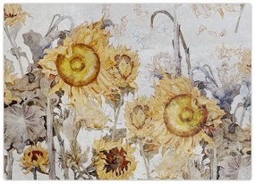 Obraz - Słoneczniki na ścianie (70x50 cm)