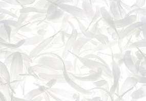 Fototapeta - Białe listki (196x136 cm)