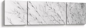 Obraz - Trawa pampasowa N⁰2 (170x50 cm)