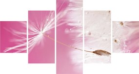 Obraz - Makro kwiat (125x70 cm)