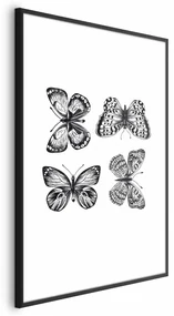 Plakat Cztery motyle 40x60 cm z ramą czarną bez marginesu ARTGEIST B