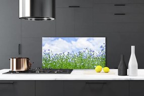 Szkło Dekoracyjne do Kuchni Harmonijna Flora Ogrodowa