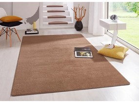Brązowy dywan 133x195 cm Fancy – Hanse Home