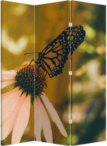 Parawan - Motyl na kwiatku (126x170 cm)