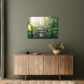 Obraz - drewniane schody w lesie (70x50 cm)