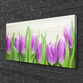 Obraz Canvas Tulipany Kwiaty Natura