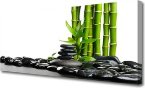 Obraz na płótnie Artystyczne Pędy Bambusa