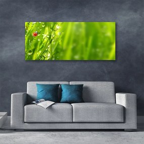 Obraz canvas Biedronka na Zielonym Źdźble