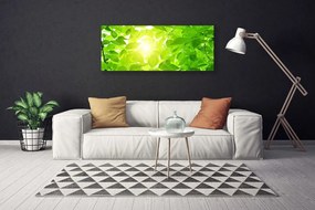 Obraz canvas Słońce w Koronach Drzew