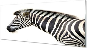 Panel szklany do Kuchni Profil Dzikiej Zebry