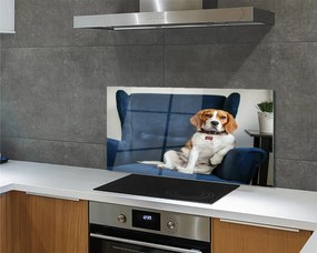 Panel Kuchenny Szklany Spokojny Siedzący Pupil