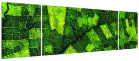 Obraz - Detal liścia (170x50 cm)