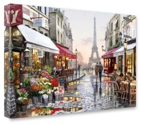 Obraz Styler Canvas Watercolor Paris I, 60x80 cm