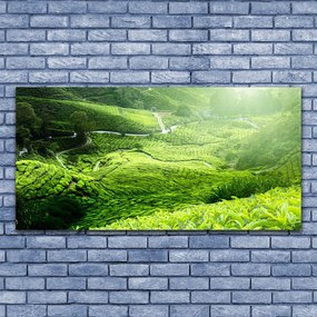 Fotoobraz na płótnie Zieleń Naturalnej Łąki