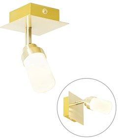 Nowoczesny reflektor łazienkowy mosiądz IP44 - Japie